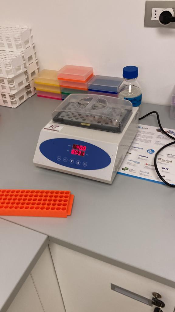 Incubación a 40 °C en termobloque